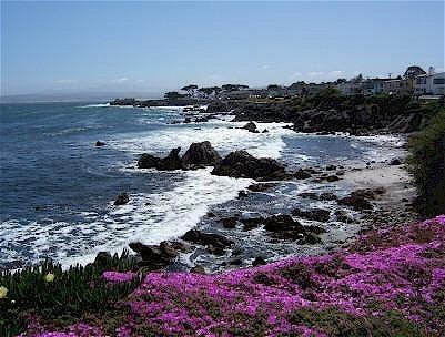 פסיפיק גרוב Monterey Peninsula Inn מראה חיצוני תמונה